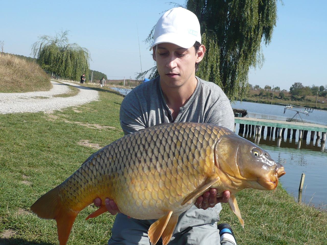 MV 2 - 1.OCT.2014 - p1020865.JPG